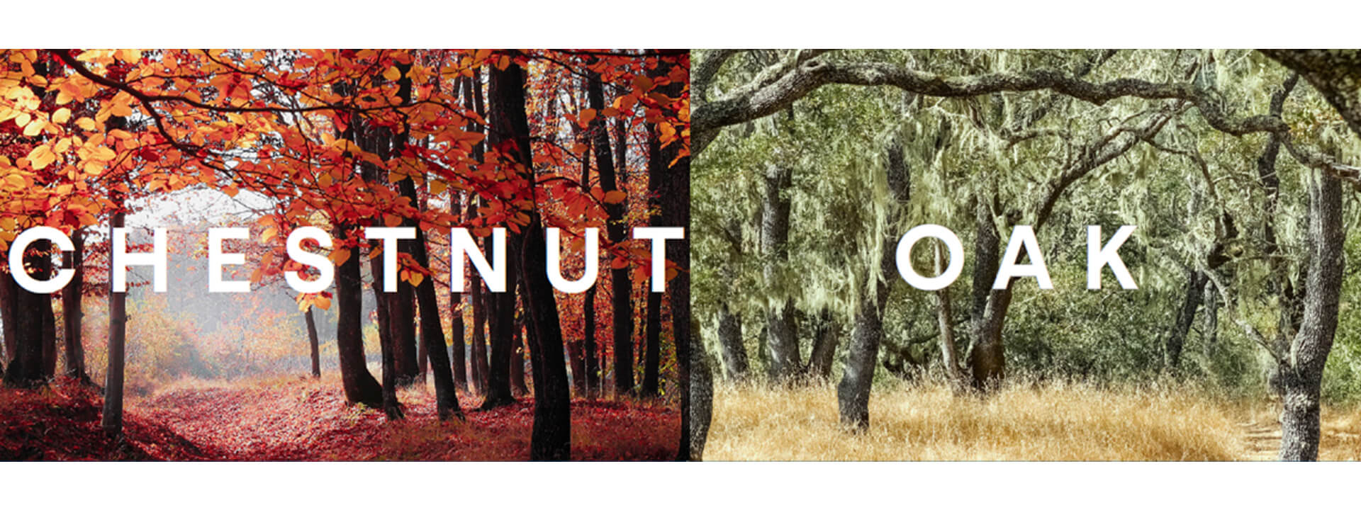 Stacbond: le nuove colorazioni