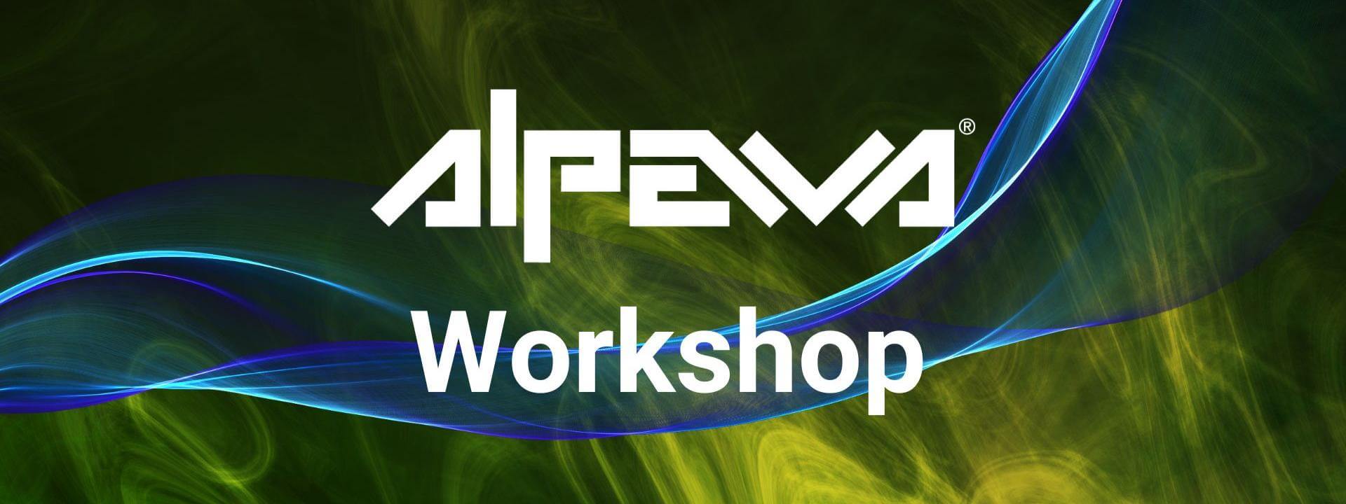 Workshop: linee vita e prevenzione caduta dall'alto